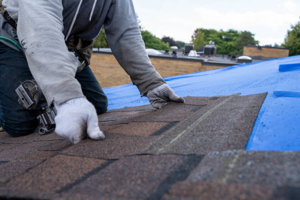 Professional Roofing Contractor in Lowell, AR