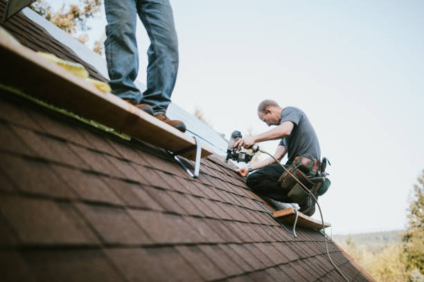 Best Roof Gutter Cleaning  in Lowell, AR